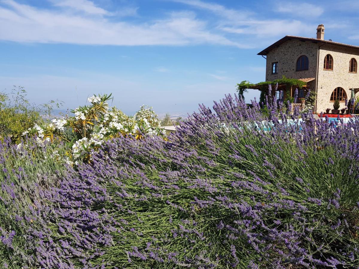Villa Bella Costa Monticello Amiata 外观 照片